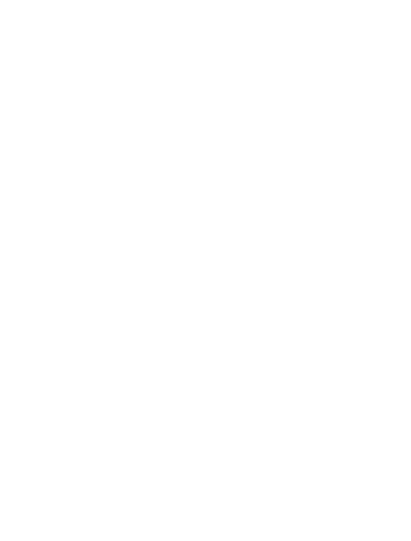 BIBI Logo